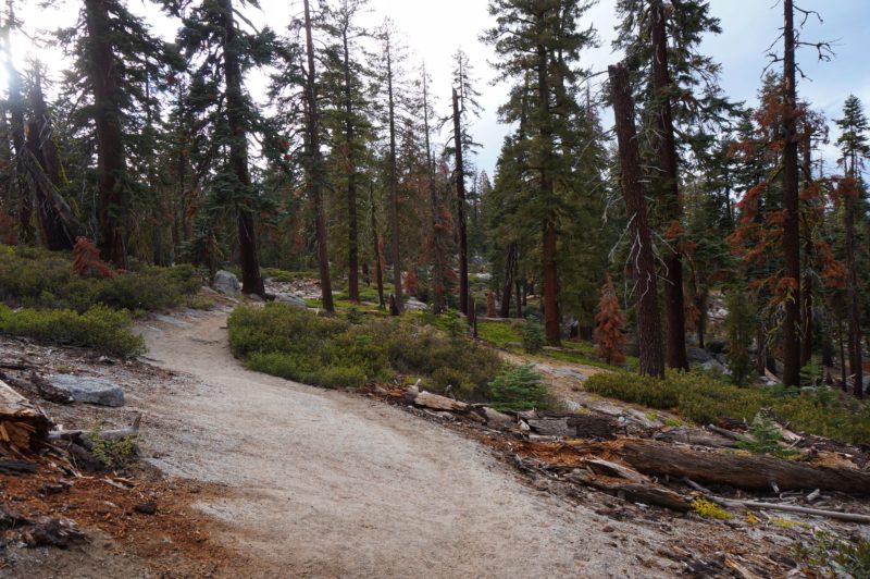 Yosemite National Park