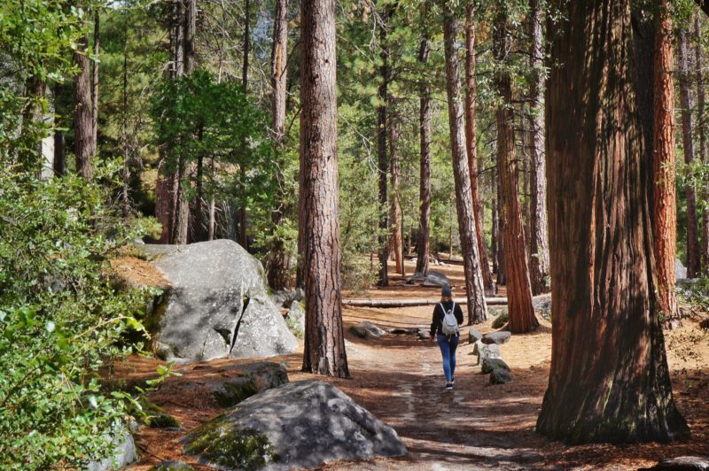 Trails Yosemite