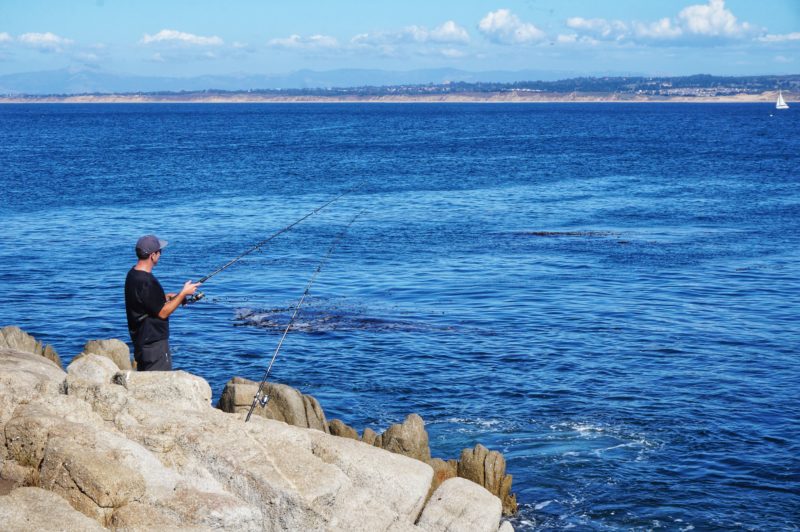 Monterey fischen