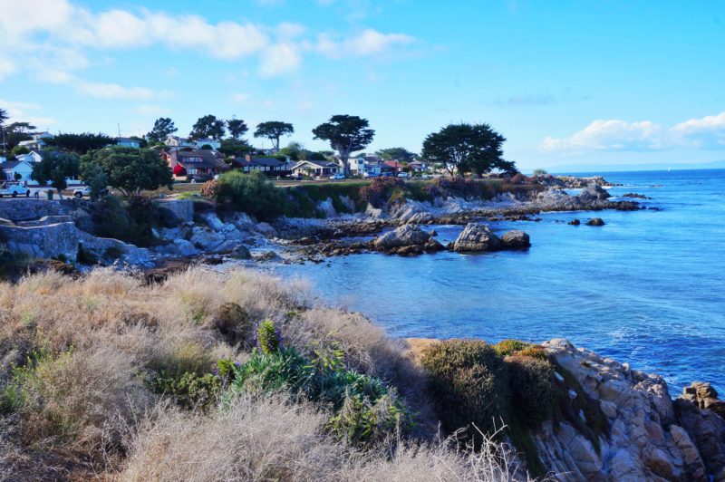 Monterey Lovers Point
