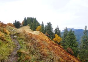 Alpstein Wanderung