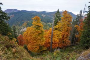Nationalpark Kalkalpen