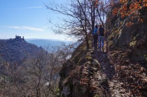 Vogelbergsteig